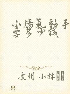 小肠气动手术需要多少钱