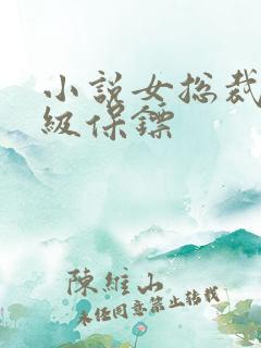 小说女总裁的神级保镖