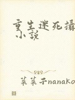 重生迷死摄政王 小说