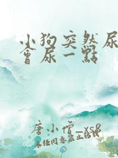 小狗突然尿频一会尿一点