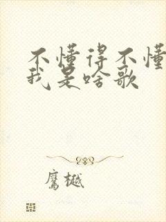 不懂得不懂得爱我是啥歌