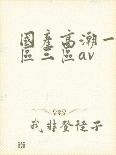 国产高潮一区二区三区av