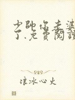 少帅你老婆又跑了.免费阅读