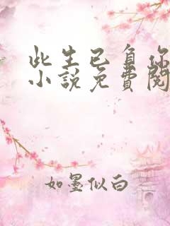 此生已负你情深小说免费阅读