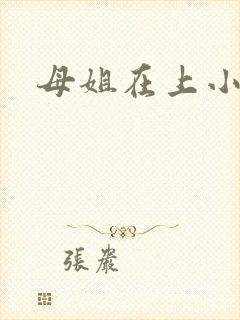母姐在上小说