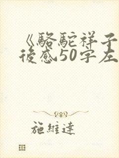《骆驼祥子》读后感50字左右