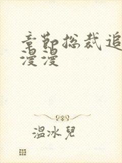 章节总裁追妻路漫漫