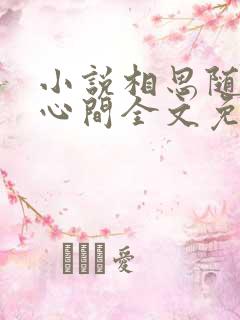 小说相思随你入心间全文免费阅读