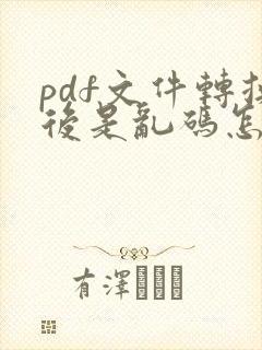 pdf文件转换后是乱码怎么办