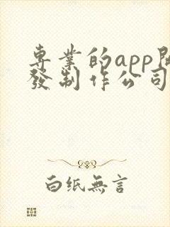 专业的app开发制作公司