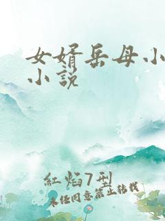 女婿岳母小冤家小说