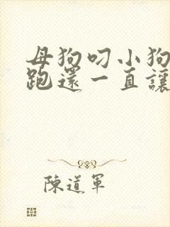 母狗叼小狗到处跑还一直让小狗叫