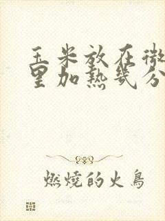 玉米放在微波炉里加热几分钟熟