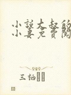 小说大叔的私宠小妻免费阅读