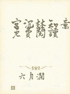 宫沉林知意小说免费阅读