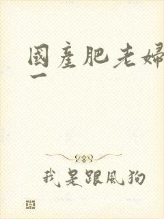 国产肥老妇九色一