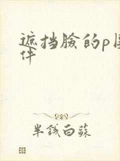 遮挡脸的p图软件