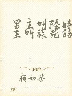 男主叫陆时宴女主叫苏菀的小说