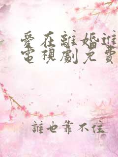 爱在离婚进行时电视剧免费播放27集