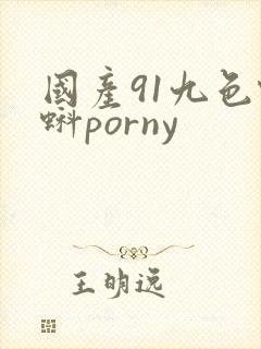 国产91九色蝌蚪porny