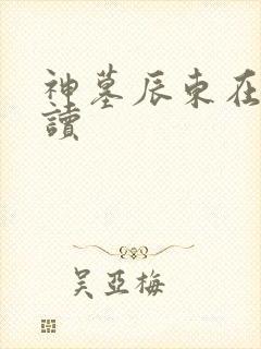 神墓辰东在线阅读