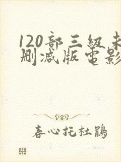120部三级未删减版电影