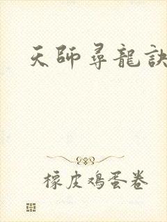 天师寻龙诀皮剑