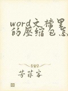 word文档里的压缩包怎么保存