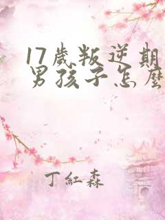 17岁叛逆期的男孩子怎么去引导