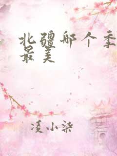 北疆哪个季节去最美