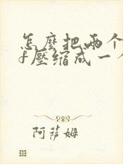 怎么把两个pdf压缩成一个压缩包