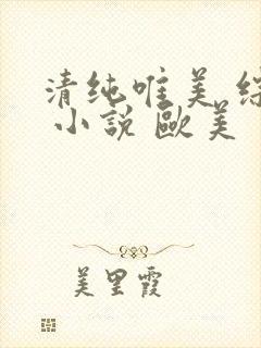 清纯唯美 综合 小说 欧美