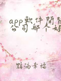app软件开发公司哪个好
