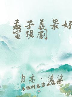 孟子义最好看的电视剧