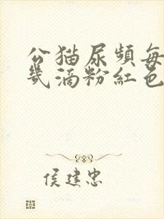 公猫尿频每次尿几滴粉红色