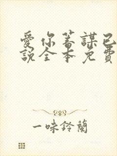 爱你蓄谋已久小说全本免费阅读