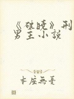 《破晓》刑侦双男主小说