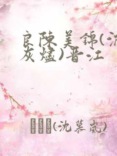 良陈美锦(沉香灰烬)晋江