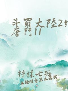 斗罗大陆2绝世唐门11
