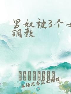 男奴被3个女王调教