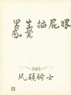 男生插屁眼什么感觉