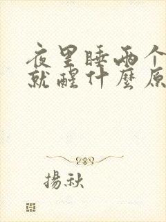 夜里睡两个小时就醒什么原因