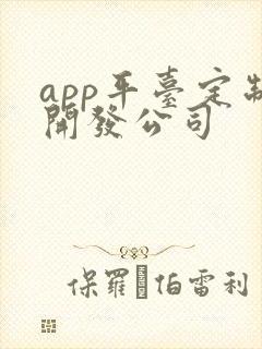 app平台定制开发公司