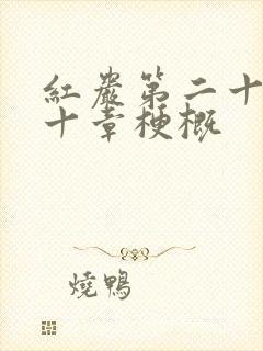 红岩第二十九三十章梗概