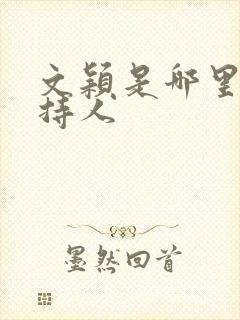 文颖是哪里的主持人