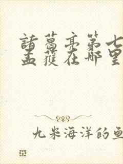 诸葛亮第七次擒孟获在哪里