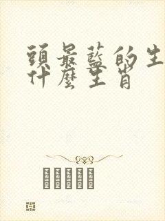 头最蓝的生肖是什么生肖