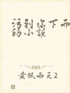 污到你下面流水的小说