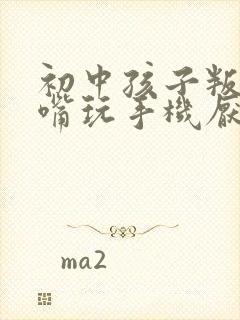 初中孩子叛逆顶嘴玩手机厌学