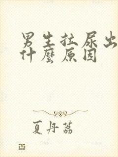 男生拉尿出血是什么原因
